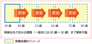 更新型定期医療保険のイメージ