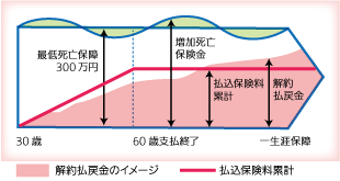 変額終身保険のイメージ