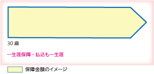 終身医療保険（終身払いタイプ）のイメージ