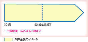 終身医療保険（短期払いタイプ）のイメージ