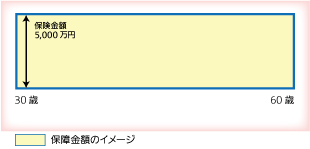 全期型定期保険のイメージ