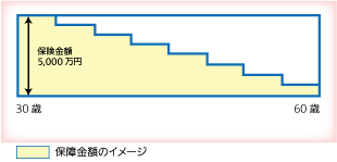 逓減定期保険のイメージ