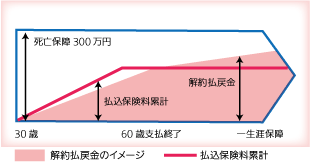 定額終身保険のイメージ