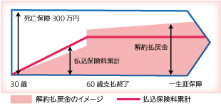 低解約返戻金型終身保険のイメージ